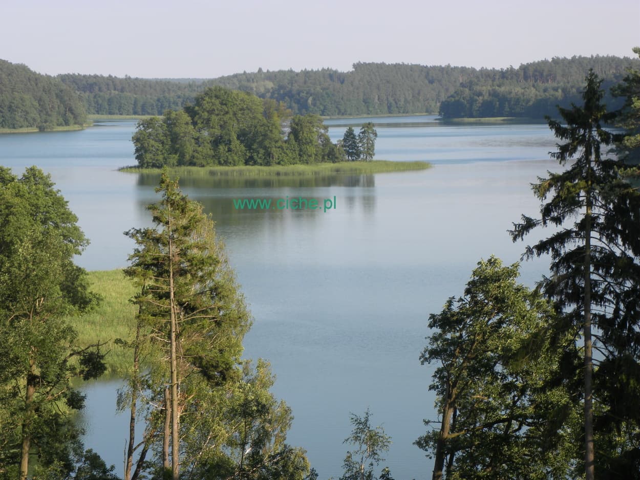 Jezioro z zalesioną wyspą w okolicy Cichego